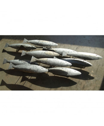 Σχολείο Ψαριών Μεταλλικά 54...