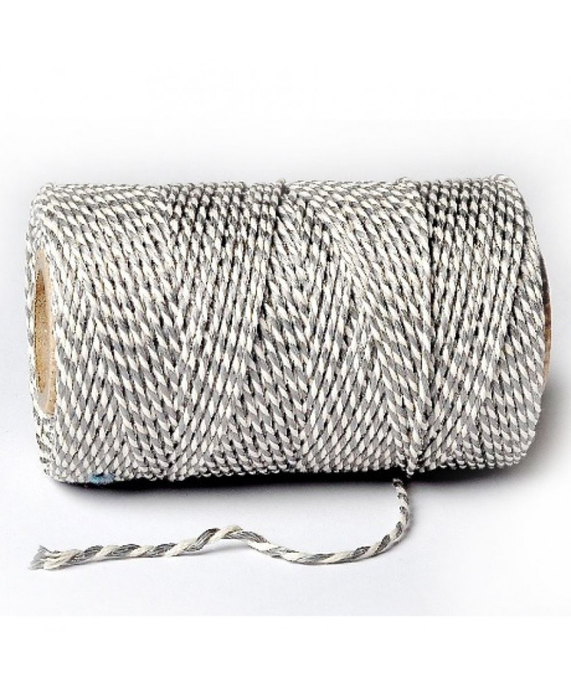 Κορδόνι Bakers Σε Ασημί Μεταλλικό Χρώμα 100μ