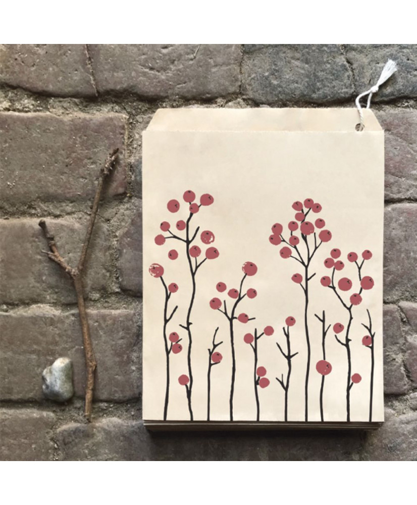 Σακουλάκια Σε Καφέ Χρώμα Με Σχέδιο Κόκκινα Berries 20,4x27,1x3εκ