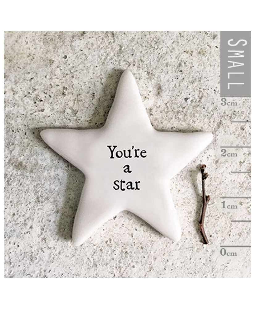 Βότσαλο αστέρι 3,6εκ. - You're a star