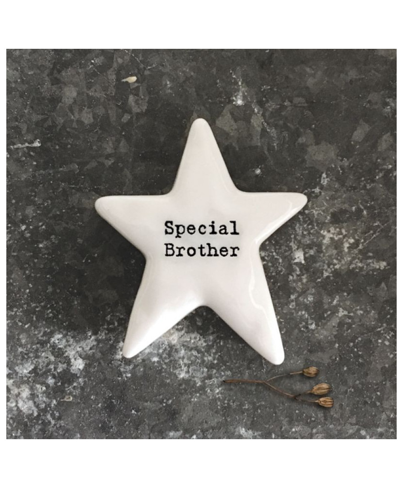 Βότσαλο αστέρι – Special brother