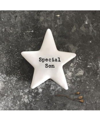 Βότσαλο αστέρι πορσελάνη...