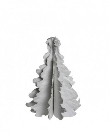 Δέντρο Βαμβακερό Σε Λευκό...