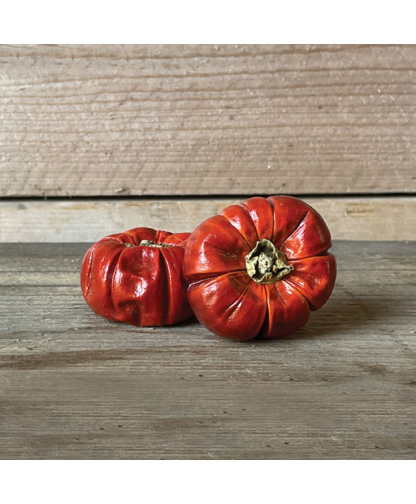 Κολοκύθα Διακοσμητική Αποξηραμένη 4εκ