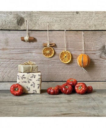 Κολοκύθα Διακοσμητική Αποξηραμένη 4εκ