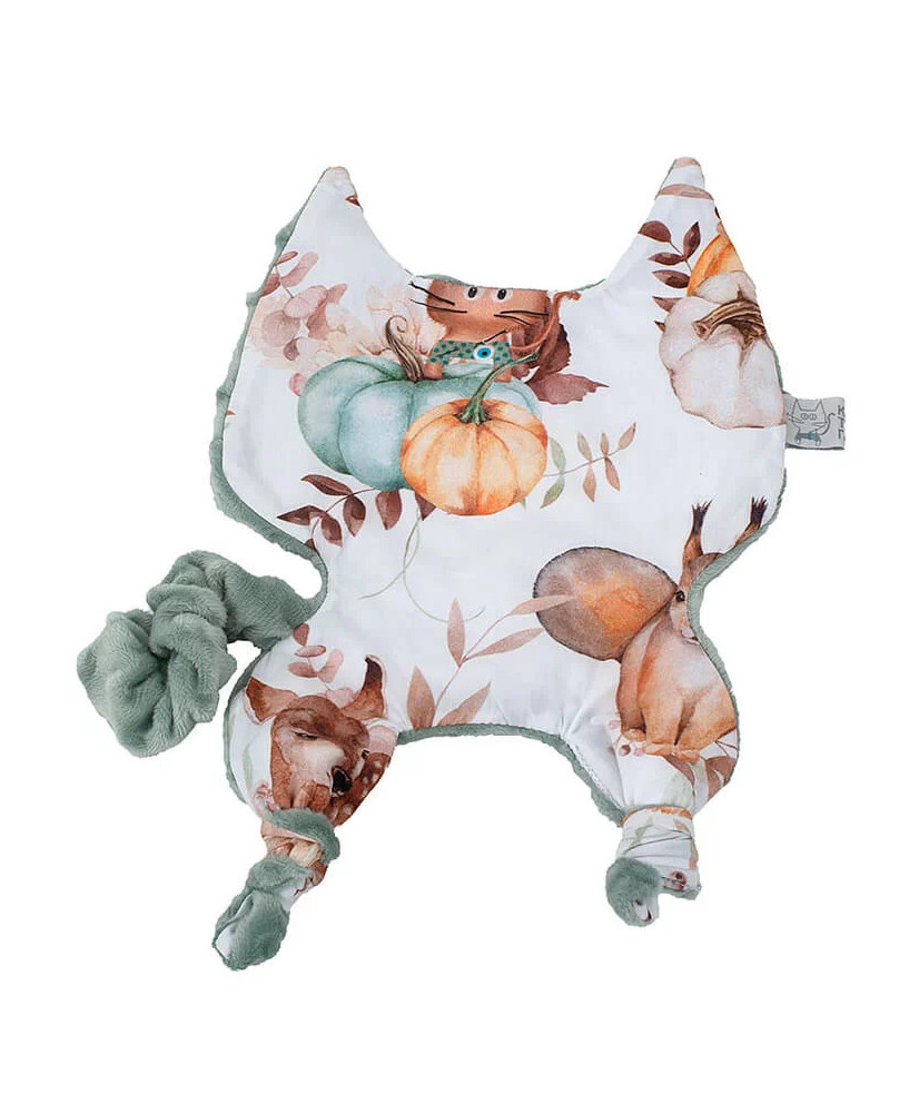 Βρεφικό Πανάκι Παρηγοριάς Με Σχέδιο Pumpkins